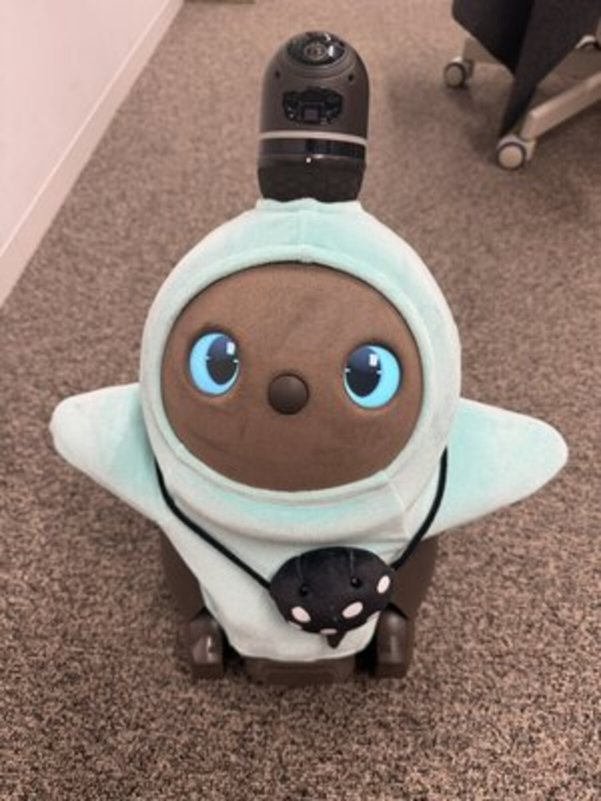 LittleCot_A 座面のみ アシモクラフツ リトルコットA Little Cot