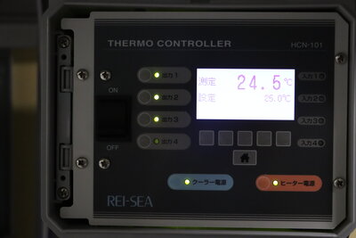 測温機能が内蔵されているサーモコントローラー.JPG
