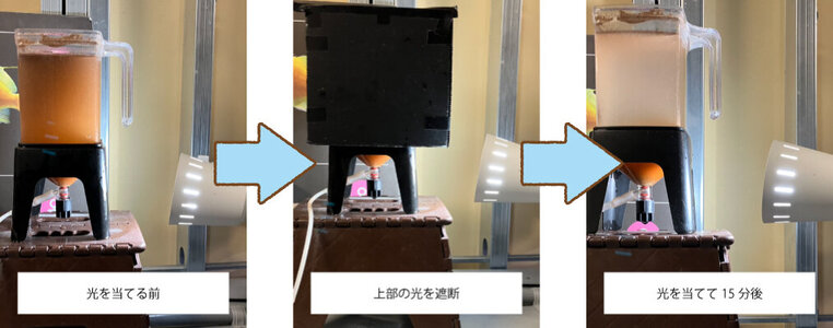 光.jpg