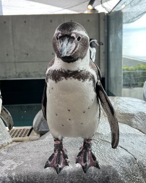 くもん.JPG