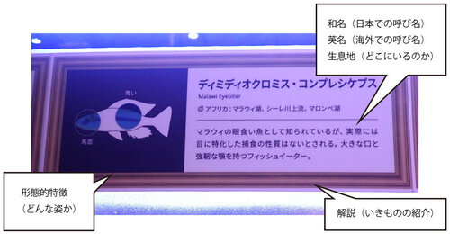 ②編集済み.jpg