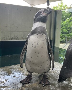 あさひ.jpeg