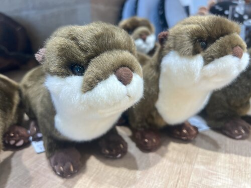 ぬいぐるみ「カワウソ」.jpg