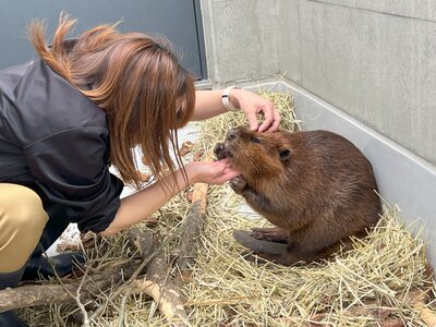 ➄ボディチェックの様子.jpg