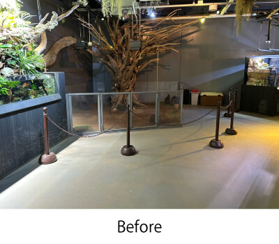 before.jpg