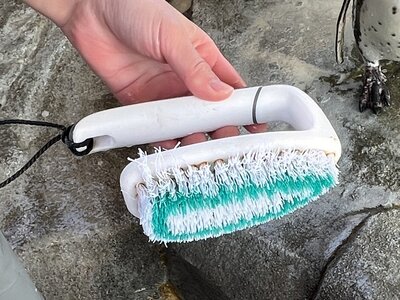 ②③ブラシ - コピー.JPG