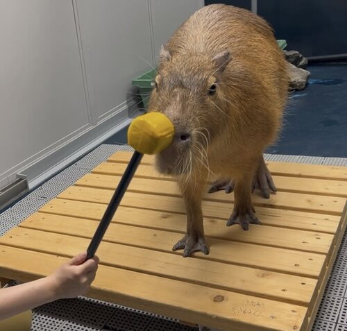 ②.jpg