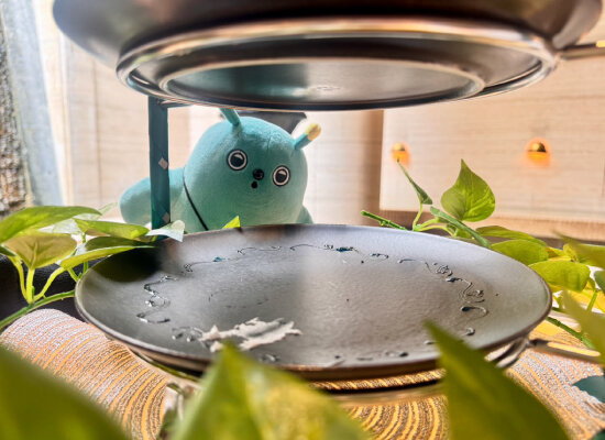 12₋スピブログ₋アフヌン₋完食.jpg
