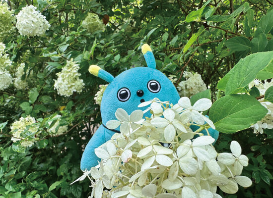 花.jpg