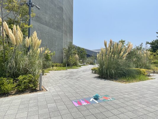 IMG_4488.jpeg