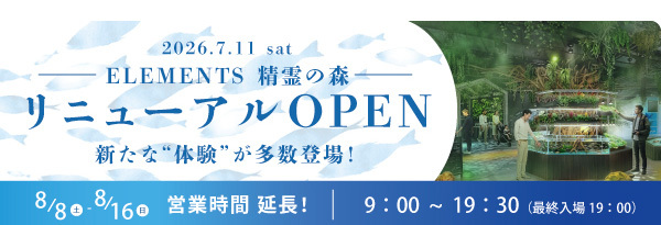 「ELEMENTS 精霊の森」がリニューアルOPEN！新たな体験が多数登場