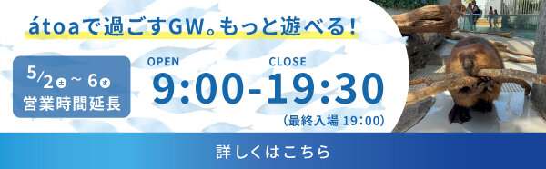 GWイベント情報