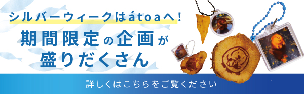 シルバーウイークはアトアへ！