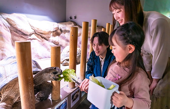 生きもの体験を親子で楽しめる