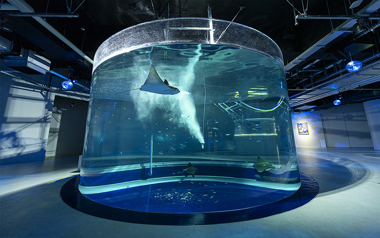 MARINE NOTE／floor｜Aquarium x Art átoa (Kobe,Japan)