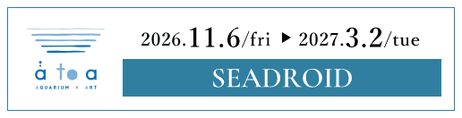 átoa SEADROID 2026/11/6（金）～2027/3/2（火）