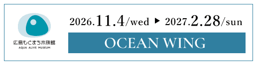 広島もとまち水族館 2026/11/4（水）～2027/2/28（日）