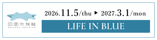 四国水族館 LIFE IN BLUE 2026/11/5（木）～2027/3/1（月）
