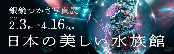 銀鏡つかさ写真展 日本の美しい水族館  2023/2/3～