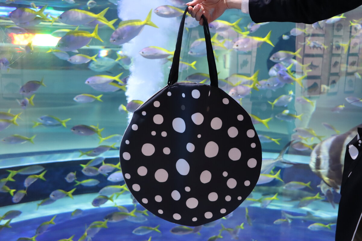 átoaで大人気！ドット柄の「ポルカドットスティングレイ」が、 可愛い