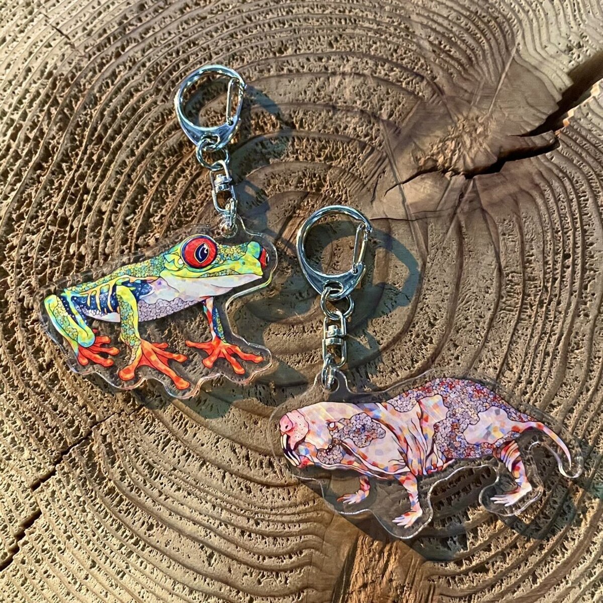 アトア×NAMIKO】平面水族館（キーホルダー）新しく2種類の生きものが