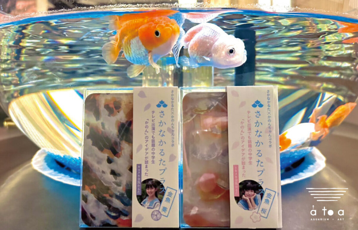 さかなかるた 淡水魚 伝説の魚 海の釣魚 金魚 かるた さかな さかなかるた 淡水魚 伝説の魚 海の釣魚 金魚 かるた さかな