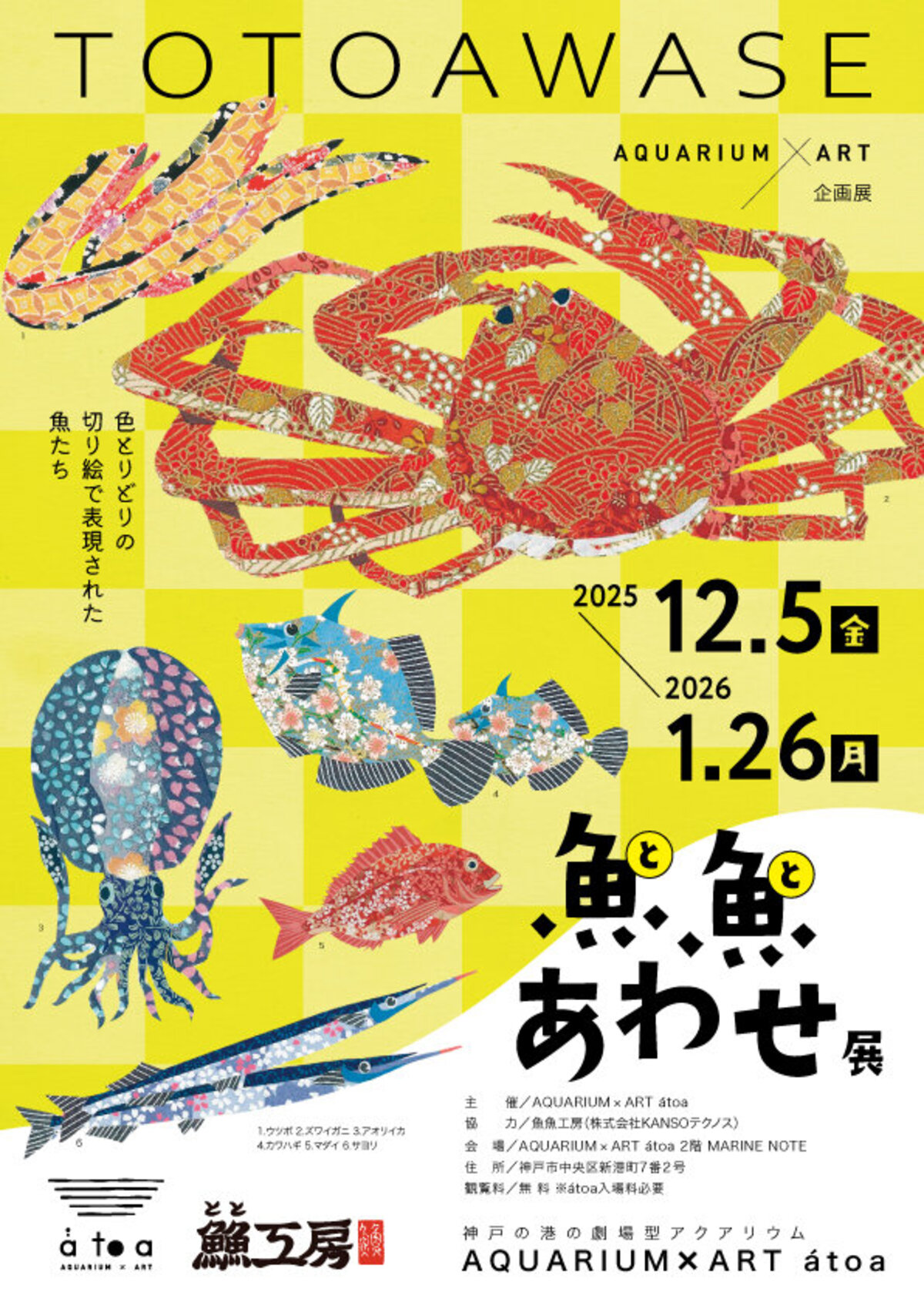 魚の美しさに触れる「魚魚(とと)あわせ展」を開催します ～特別企画