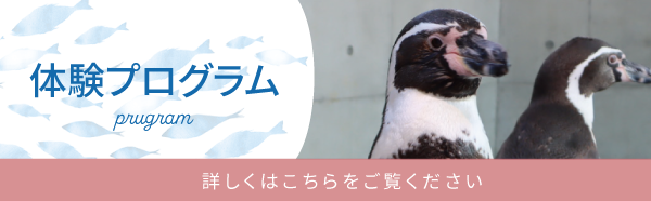 プログラムバナー（ペンギンあり）.png