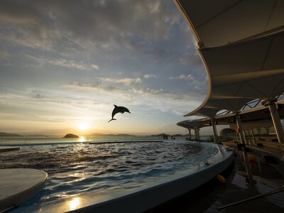 四国水族館_海豚プール_夕暮れの景_.jpg