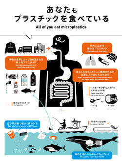 あなたもプラスチックを食べている.png