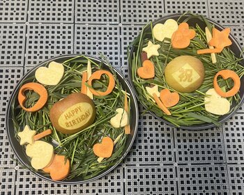 IMG_1156 - コピー (2).JPG