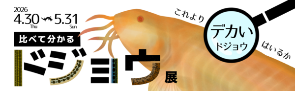ドジョウ展バナー.png