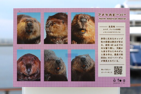 画像.JPG