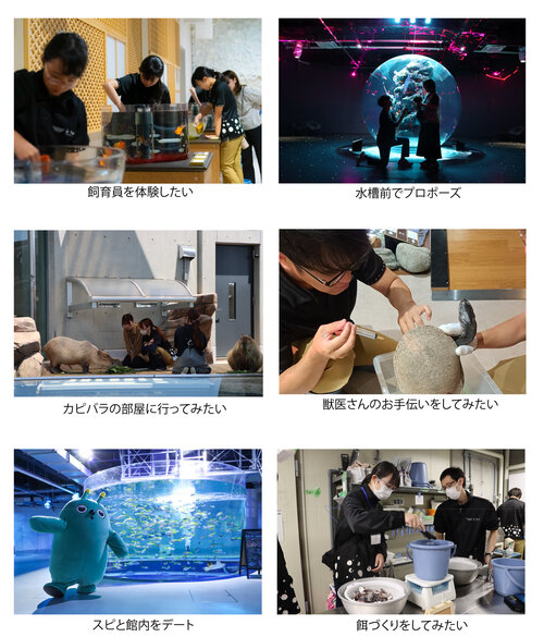 全て２.jpg