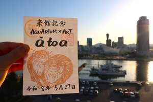 IMG_8280.JPG
