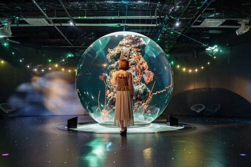 DSC_1831_  - コピー.jpg