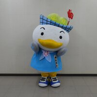 かもめん.jpg