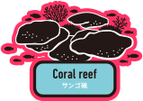 サンゴ礁