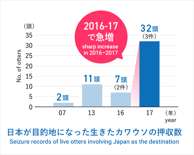 日本が目的地になった生きたカワウソの押収数の棒グラフ