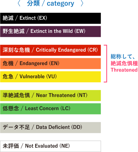 IUCNレッドリスト分類の画像