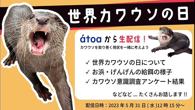 世界カワウソの日2023　カワウソたちを取り巻く現状を一緒に考えよう！