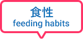 食性 feeding habits