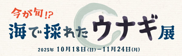 2025うなぎHPバナー.jpg