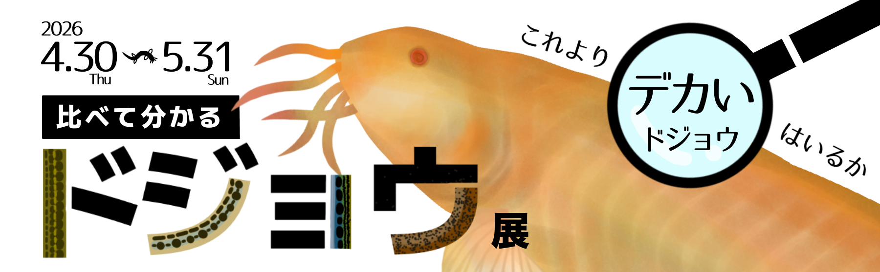 どじょう展バナー.png